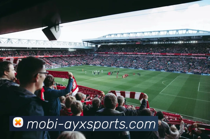 爱游戏发展历程